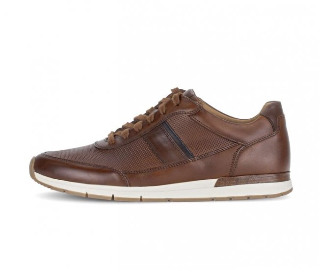 Pius Gabor Herren Sneaker Low Braun - Glattleder