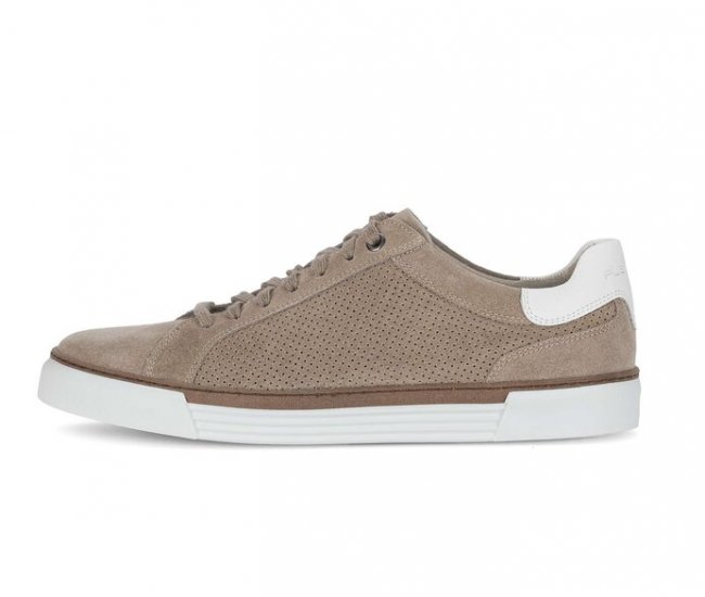 Pius Gabor Herren Sneaker Low Beige - Rauleder