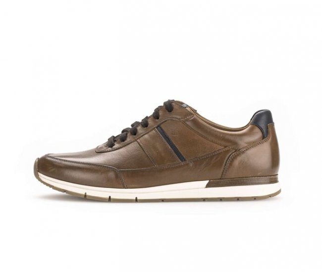 Pius Gabor Herren Sneaker Low Braun - Glattleder