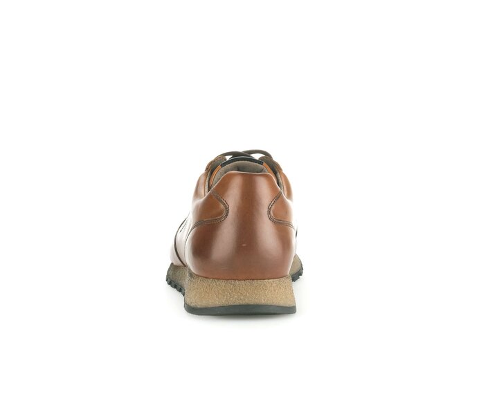 Pius Gabor Herren Sneaker Low Braun - Glattleder
