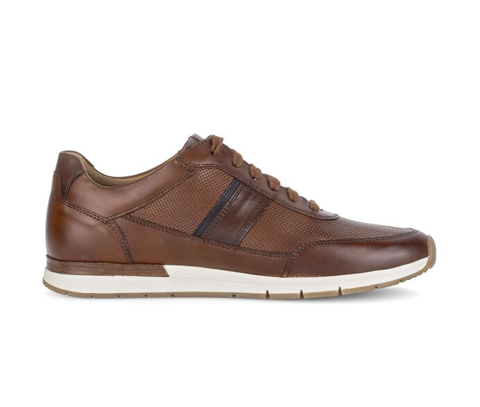 Pius Gabor Herren Sneaker Low Braun - Glattleder