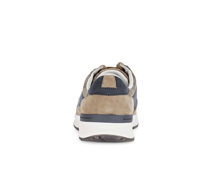 Pius Gabor Herren Sneaker Low Beige - Materialmix Leder/Textil