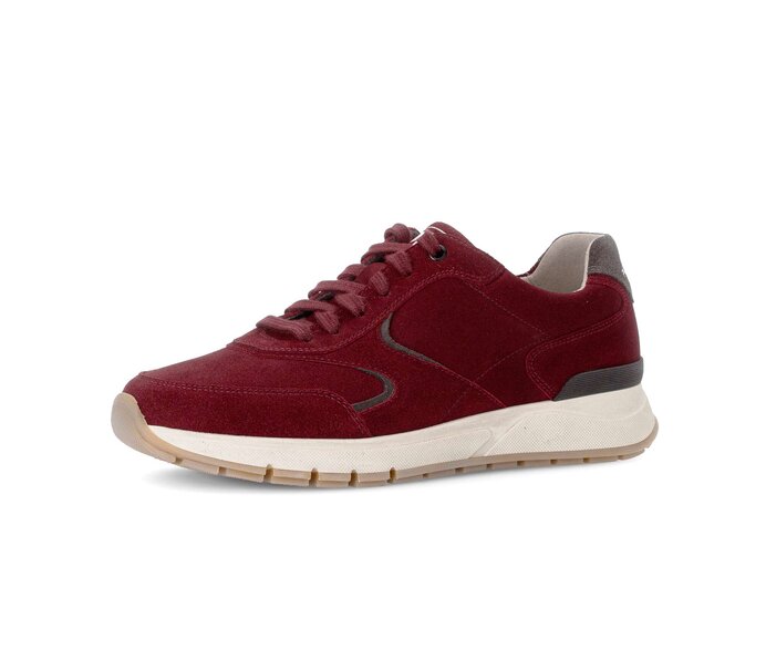 Pius Gabor Herren Sneaker Low Rot - Rauleder