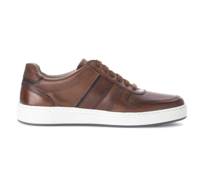 Pius Gabor Herren Sneaker Low Braun - Glattleder