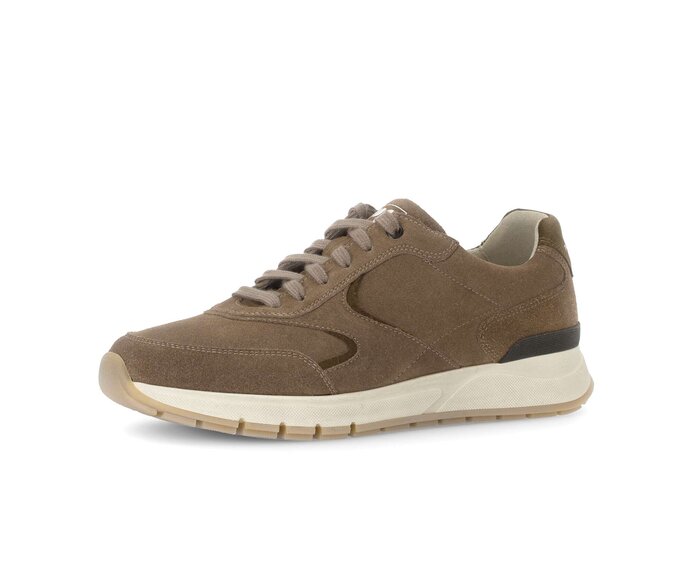 Pius Gabor Herren Sneaker Low Beige - Rauleder